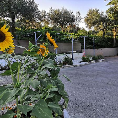 Rosemarin Daire Koper Dış mekan fotoğraf