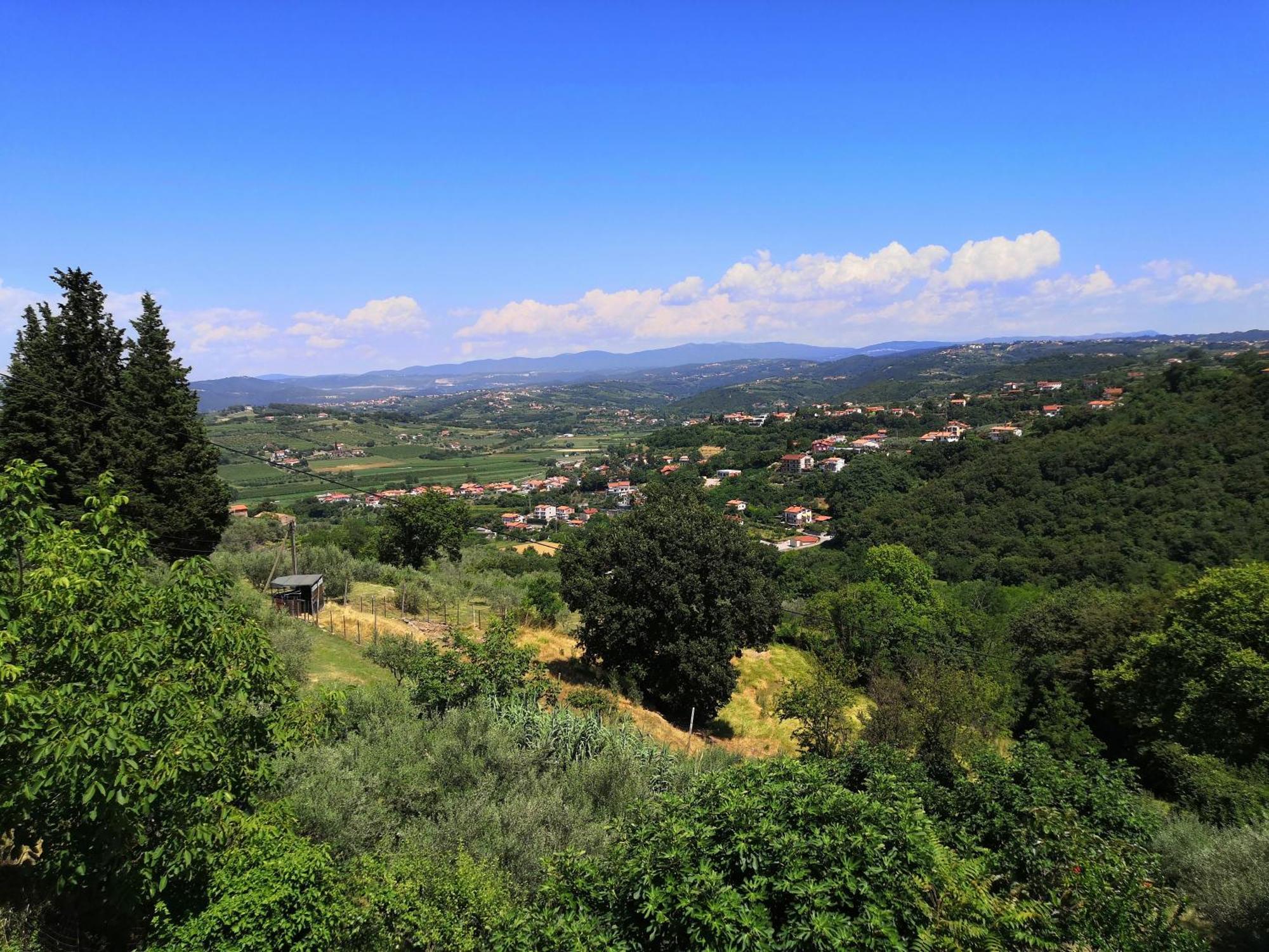 Rosemarin Daire Koper Dış mekan fotoğraf